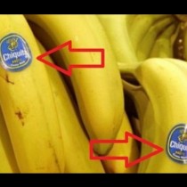 Ако се вгледате по-внимателно в етикетчетата на бананите, ще разберете важна информация!
