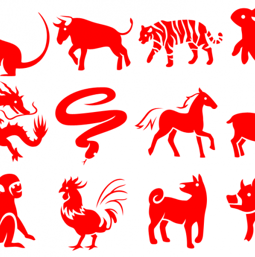 Хороскоп 2016 - Годината на червената огнена маймуна! Китайски хороскоп за 2016-Страхотна година за следните зодии