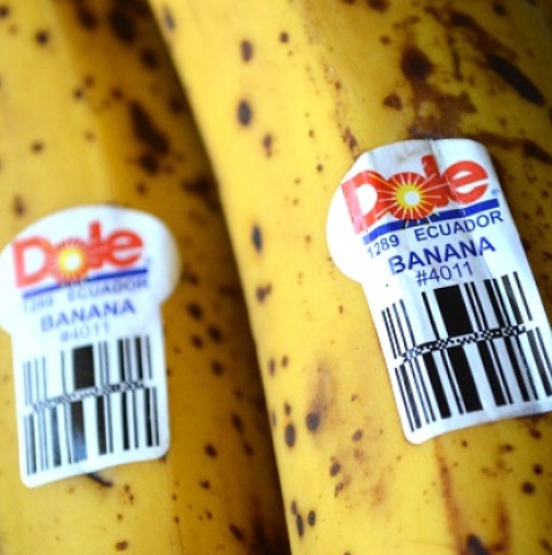 Следващият път, обърнете внимание: Знаете ли какво означават номерата на лепенките на бананите, ябълките ...?