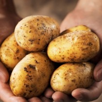 Не правете най-голямата грешка с картофите!