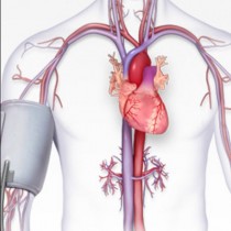 Какво представлява високото кръвно налягане