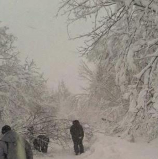 Синоптици от БАН: Зимата ни връхлита с пълна сила! Утре сняг в половин България, обявен е жълт код!
