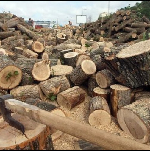 Европейският съюз забранява на българите да се отопляват с дърва и въглища