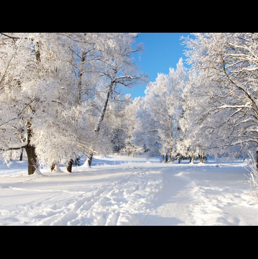 Прогноза на Георги Рачев: Зимата тази година ще бъде ...