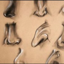 Ето какво говори формата на носа ви за вас-грижливи хора, Чип нос-Орлов нос-сами създават живота си...  
