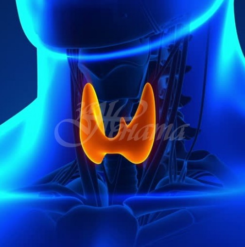 Щитовидната ви жлеза е в опасност, ако имате тези 17 симптома!