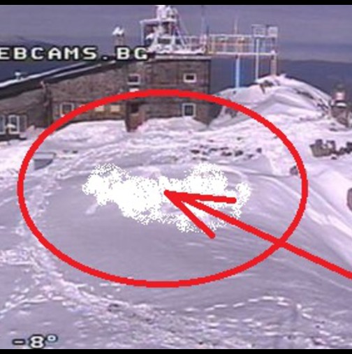 Уеб камерите на връх "Мусала" заснеха нещо невиждано в снега!