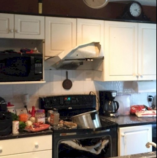 Хората, които никога не трябва да вкарвате в кухнята си! Щетите след тях са непоправими (Снимки)