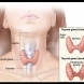 Ето по тези неща можете веднага да хванете дали ви работи правилно щитовидната жлеза 