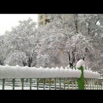 Първи сняг в София и Пловдив
