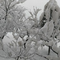 Извънредно! Измъкнаха от преспите 9 души и 7-годишно дете, блокирани в Балкана