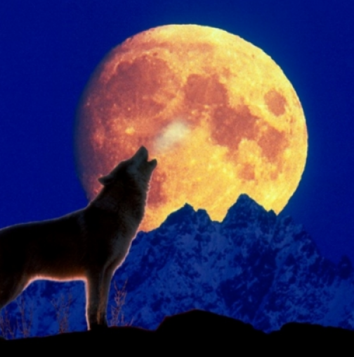 В нощта на 23 януари ще има "Вълча Луна"-започват положителни промени, които ще са повратна точка за мнозина