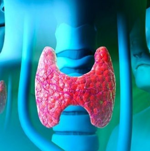 Щитовидната ви жлеза не е наред, ако имате тези 12 проблеми