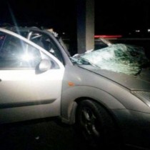Тежка катастрофа тази вечер край Свиленград: Автомобилът прелетял 50 метра!Шофьорът е загинал на място, а ...