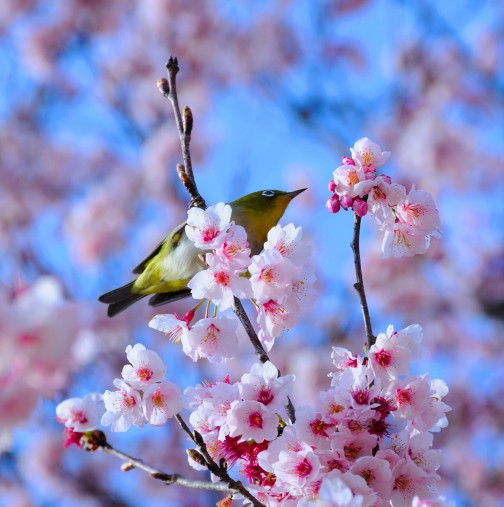 Любовен хороскоп за март- Ето кои зодии ще имат щастие в любовта през най-красивия пролетен месец