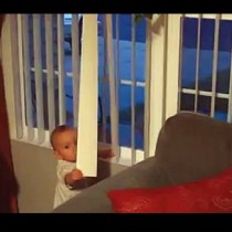 Майката забеляза, че бебето нещо чака край прозореца. Когато видите кого очаква, ще се разтопите!
