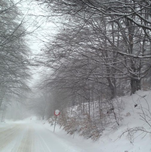 Снежен ад в България, закъсват коли!