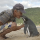 Това малко и сладко пингвинче плува всеки път по 8000 километра, за да отиде при този мъж. Вижте защо (Видео) 