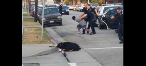 Полицай застреля куче, защитило собственика си-ВИДЕО