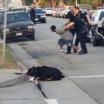 Полицай застреля куче, защитило собственика си-ВИДЕО