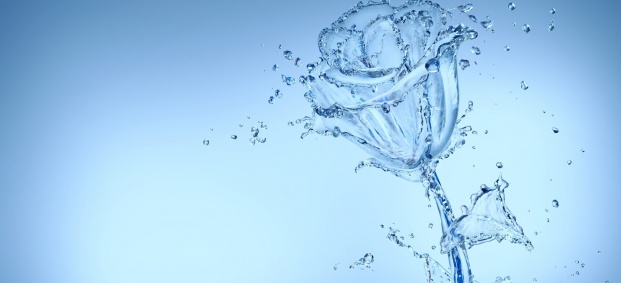 Един литър вода на ден за скоростно отслабване 