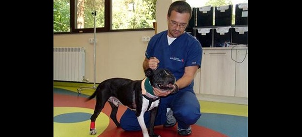 Поставиха пейсмейкър на куче, за да му спасят живота