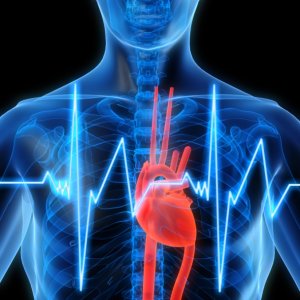 Билки, които помагат за здравето на сърцето