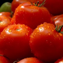 Нечуван скандал! Гръцки домати вървят по 2.60лв килото у нас, но вижте по колко ги внасят!