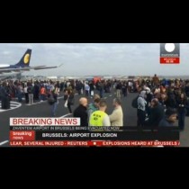 Кървав ад в Брюксел! Бройката на жертвите расте, 14 са убитите досега! Български самолет на косъм от кошмара! Вижте снимки