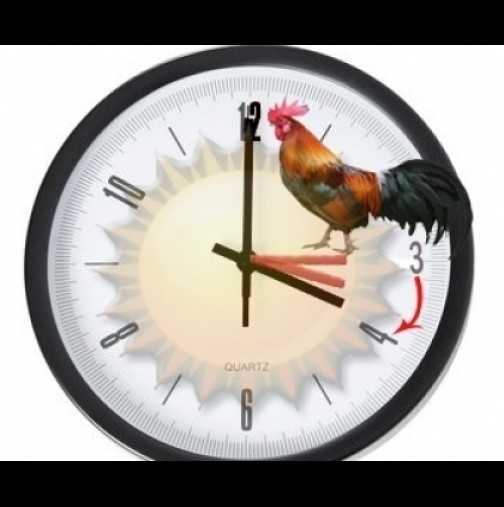Кога преминаваме към лятно часово време и трябва да сменим часовниците си? С 1 час напред или назад е въпросът?