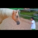 Момче с тежко заболяване приближава опасно близо кон. Това, което последва няма как да не ви разчувства (Видео)