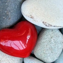 Сърцето, което носи омраза, не умее да приема, нито да дава любов, то е каменно