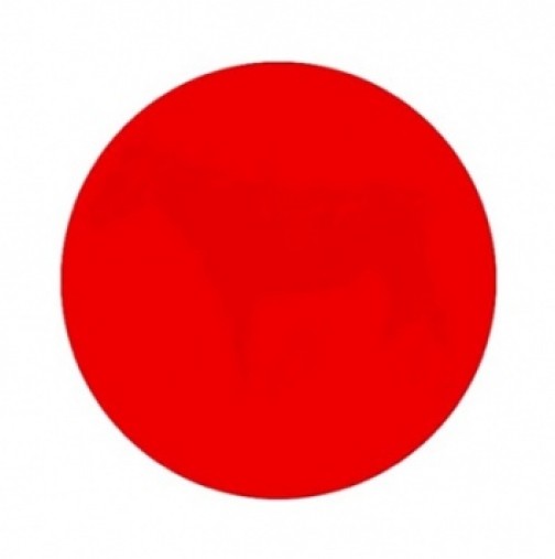 Какво виждате като погледнете червената точка? Интернет полудя по тази загадка