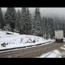 Ето тук вече къщите и пътищата побеляха! Снежната фъртуна нахлу в България на Велики вторник