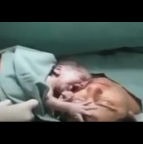 Видео, от което ще настръхнете: Майката умира при раждане, а след това на гърдите ѝ оставят бебето и става нещо невероятно!