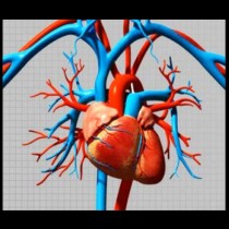Ето как най- лесно да почистите кръвоносните си съдове и да се предпазите от инфаркт