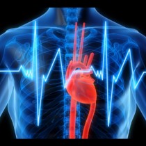 Вижте как се измерва сърдечния ритъм - Как да се упражнявате, за да отслабнете по-добре от липосукция