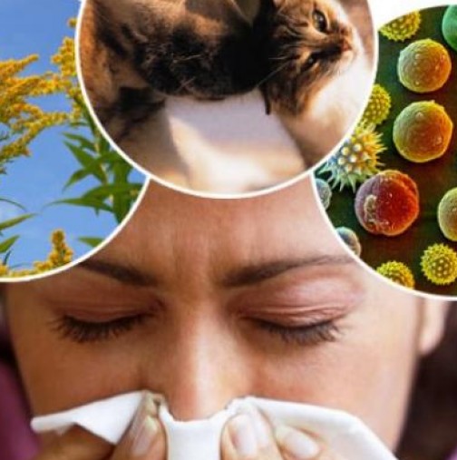 Алерголози алармират! Бум на алергии тази пролет