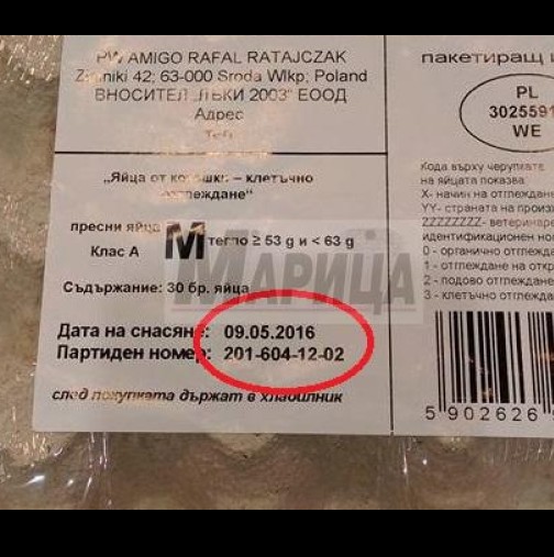 Българска фирма продава яйца, снесени в бъдещето