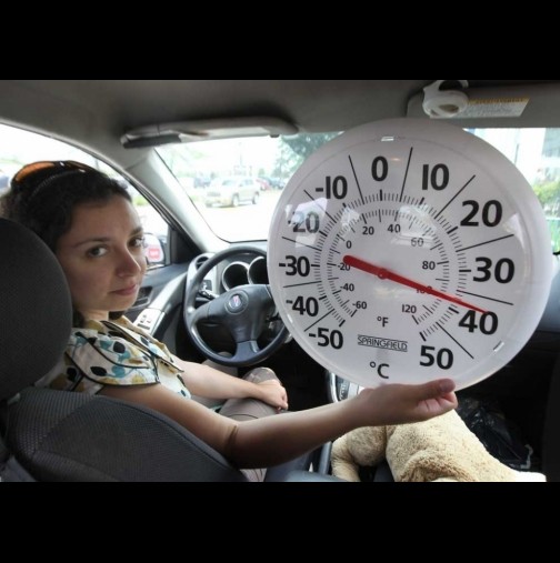 Ето какво не бива да забравяме никога в колата, когато е паркирана на тази жега? (ВИДЕО)
