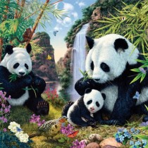 Само за най-наблюдателните: Колко панди можете да преброите на снимката?