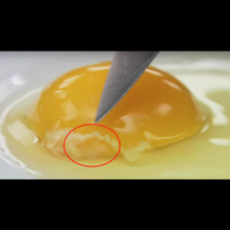 Никога нямаше да ми хрумне! Ето какво означава тази бяла нишка в жълтъка на яйцето - тя показва...