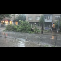 След силната буря снощи гледката в София е трагична! Вижте какви поражения нанесе (Снимки и видео)
