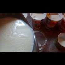 От моя личен опит: става ли купешкото кисело мляко за подквасване? 4 известни марки, 4 опита, 4 изненадващи резултата: