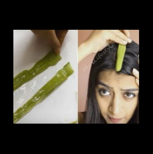 Тя натърка косата си с няколко листа от това и ефектът беше мигновен, а след 1 месец употреба косата й порасна с 40% (Видео)