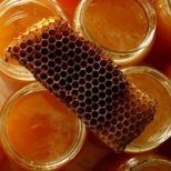 Пчелният клей- прополис лекува всички болести