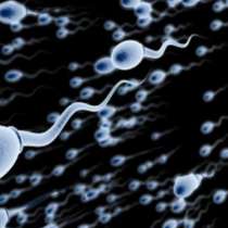 Жените ще могат да произвеждат сперматозоиди, а мъжете - яйцеклетки!