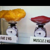 Ето как изглеждат два килограма мазнини сравнени с два килограма мускул