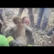 Чудо се случи в Италия: Спасиха дете след 17 часа под руините от земетресението-Видео от спасяването