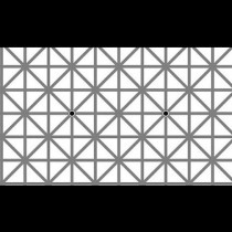 Тази снимка обърка хората: Колко точки виждате Вие?